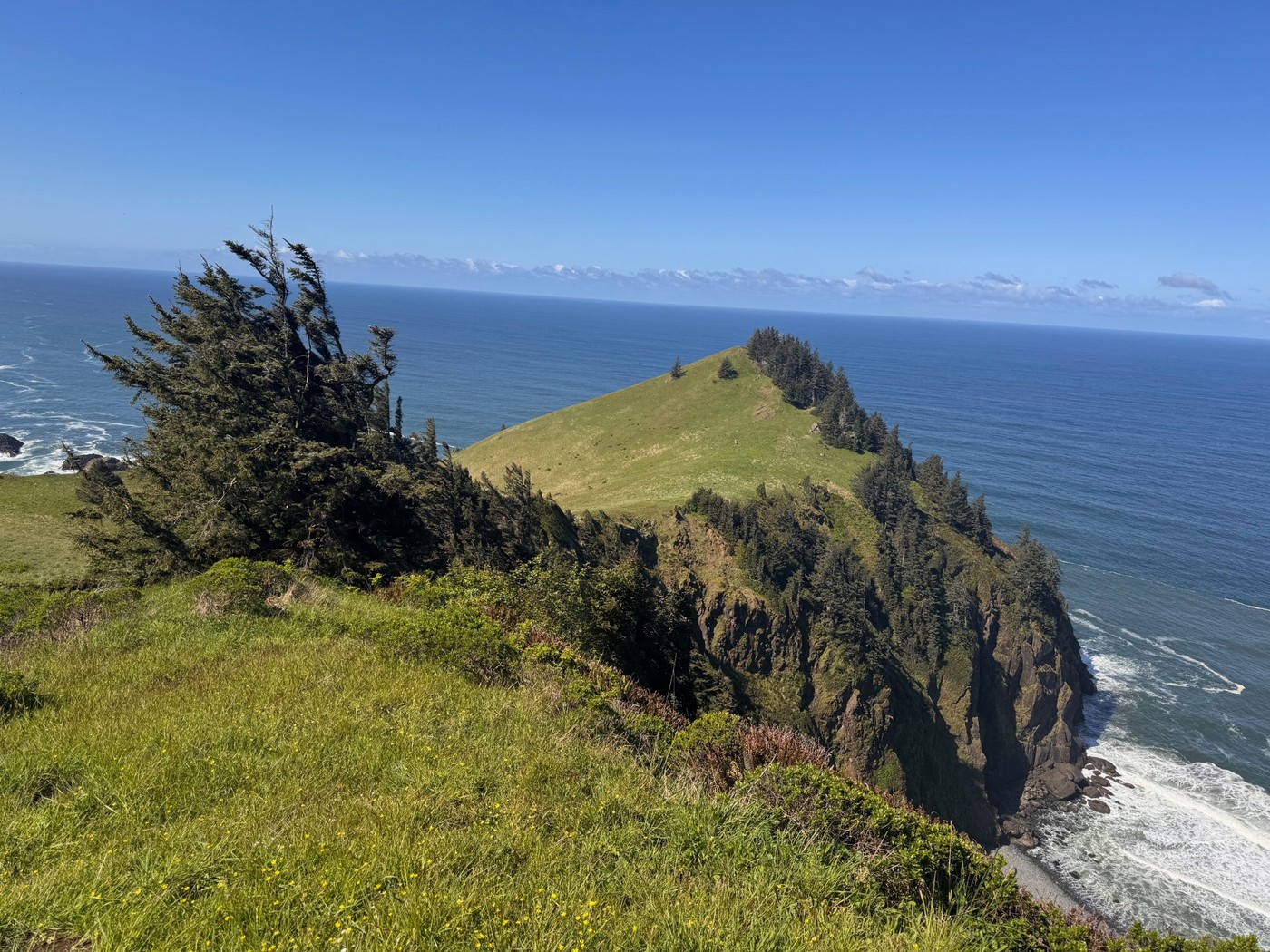 Cascade Head