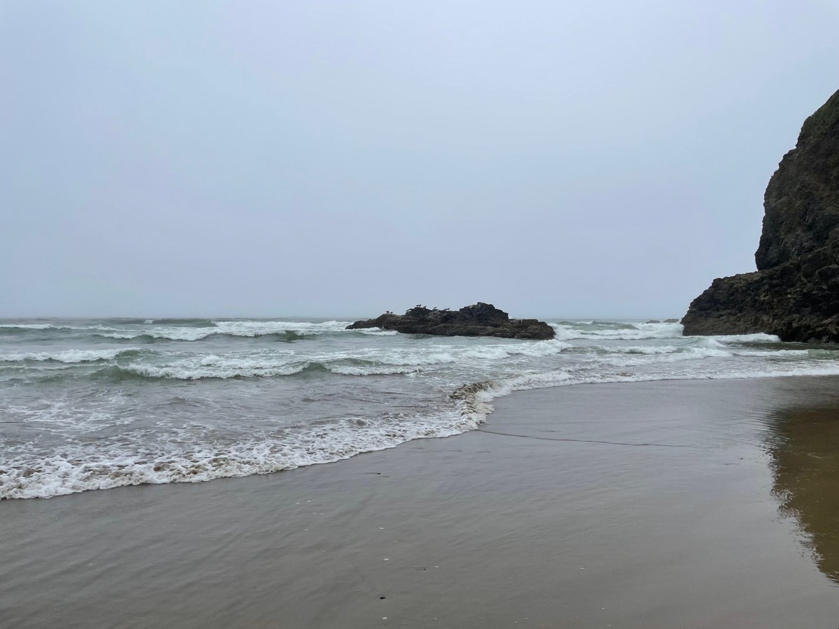 Foggy Pacific coast