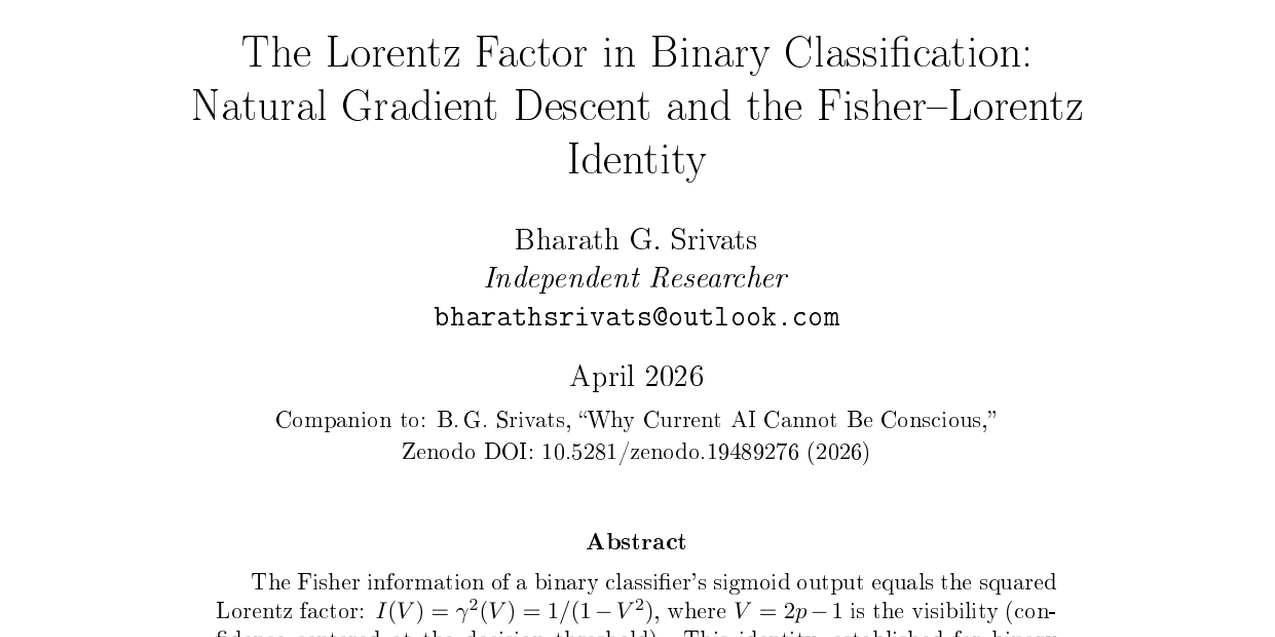 Natural Gradient Descent and the Fisher-Lorentz Identity